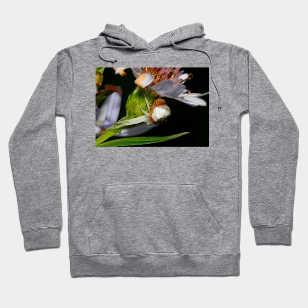 The embrace Hoodie by micklyn